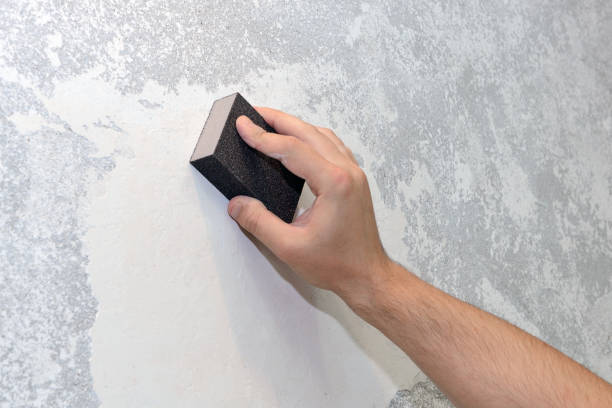 Best Mold Removal for HVAC Installations  in Quitman, MS