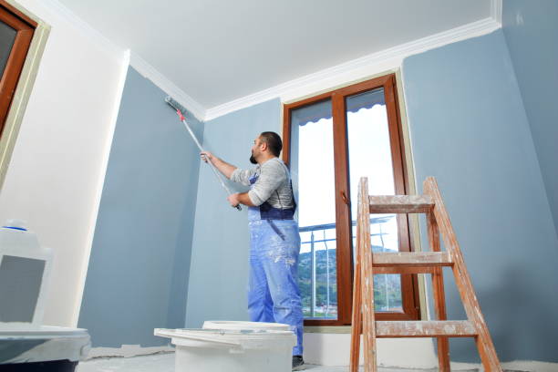 Best Mold Damage Restoration  in Quitman, MS