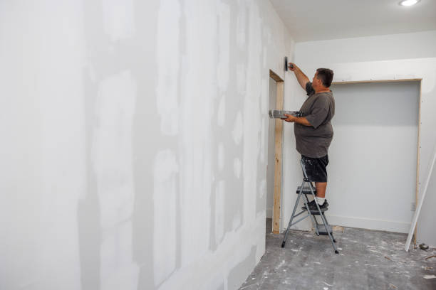 Reliable Quitman, MS Mold Removal Solutions